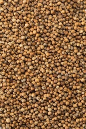 McCormick Gourmet Organic Coriander Seed, 0.87 Oz - Image 9