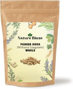 Ayurvedic Herbal Indian Rennet | Paneer Doda | Paneer ka Phool | Withania Coagulans (Whole 100gm/3.5 Oz) - Image 2
